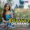 About Tresno Dilarang Song