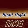 Night Flight