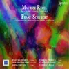 Quintetto d'archi in do maggiore, Op. 163: Allegro ma non troppo