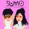 About Sumo Song
