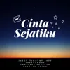 About Cinta Sejatiku Song