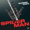 About Spiderman Song