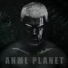 About Anml Planet Song