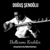 About Dallarımı Kırdılar Ceylanım / Gönlüme Song