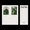 About The Palms Song