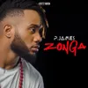 About Zonga Song