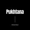 About Pukhtana Song