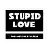 Stupid Love (Cover mix Lady Gaga)