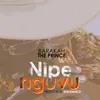 About Nipe Nguvu Song