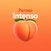 About Perreo Intenso Mix Song