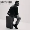 About Skizzo Love Song