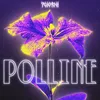 About Polline Song