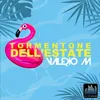 About Tormentone dell'estate Song