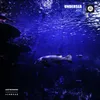 About Undersea Song