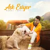 About Aşk Esiyor Song