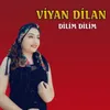 Dilim Dilim