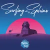 Surfing with the Sphinx Radio Edit