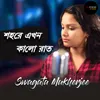 About Shohore Ekhon Kalo Raat Song