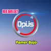 Didi Kempot Versi DJ Remix