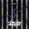 About Gizlen Song