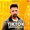 About TikTok Aali Chhori Song