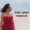 About Yasaklım Song