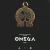 About Omega Remix Song