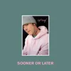 About Sooner or Later Song