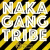 About Naka Gang Tribe Song