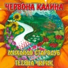 About Червона калина Song