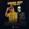 About Sodjo Song