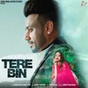 About Tere Bin Song