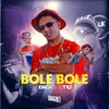 About Bole Bole Song