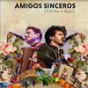 About Amigos Sinceros Song