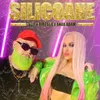 About Silicoane Song