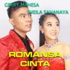 About Romansa Cinta Song
