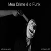 About Meu Crime É o Funk Song