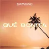 About Qué Bonita Song