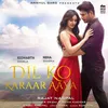 About Dil Ko Karaar Aaya (From "Sukoon") Song