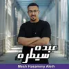 About مش هسمي عليه Song