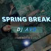 About Spring Break Song
