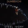 About Steel Ivory Song