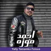 About ياللي تمامكو فلوس Song
