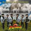 Los Caballos Famosos