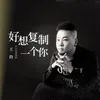 About 好想复制一个你 Song