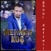 About Gönül Defteri Song