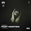 About POST MORTEM Song