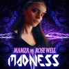 About Madness (Mamza vs. Rose Well) Song