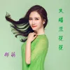 About 又唱兰花花 Song