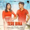 About Tere Bina Song